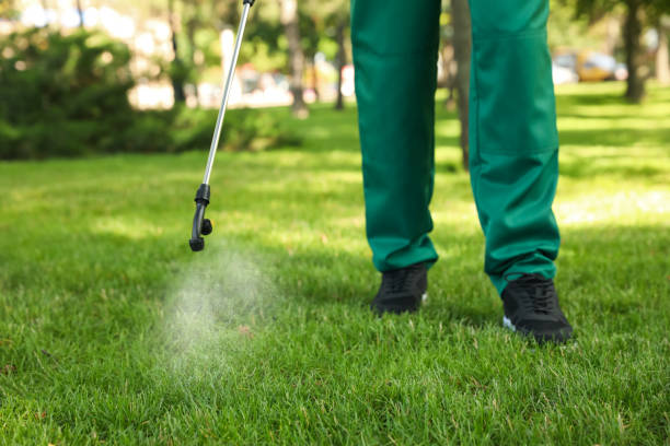Best Best Pest Control Companies  in Leisure Knoll, NJ