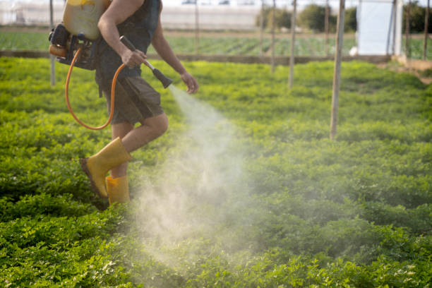 Best Residential Pest Control  in Leisure Knoll, NJ