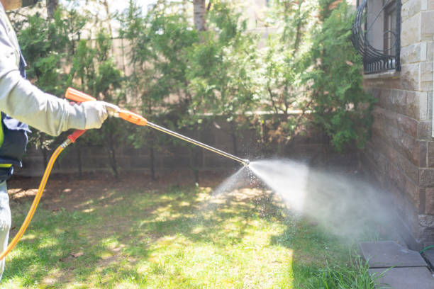 Best Insect Control  in Leisure Knoll, NJ