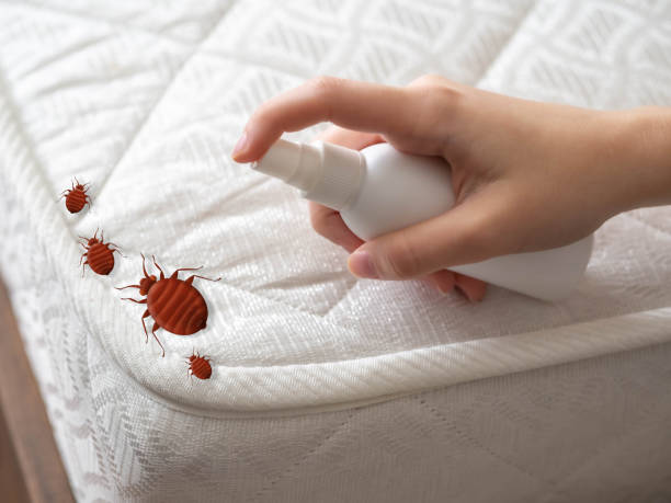 Best Bed Bug Extermination  in Leisure Knoll, NJ