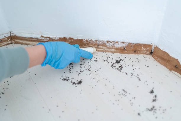 Best Wasp Removal Services  in Leisure Knoll, NJ
