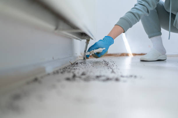 Best Flea Control Services  in Leisure Knoll, NJ
