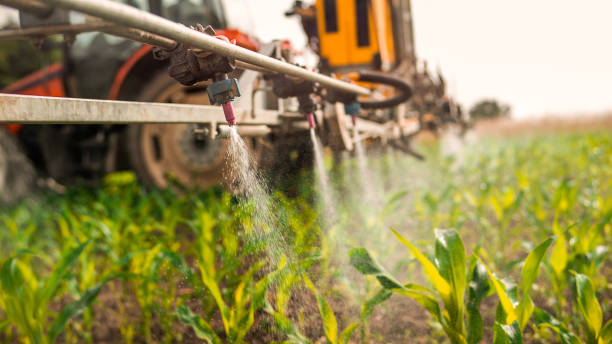 Best Mosquito Control Services  in Leisure Knoll, NJ